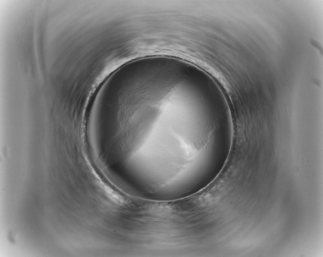 X0000094371525200711021519