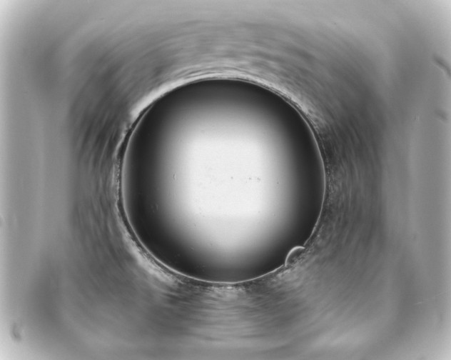 X0000094371526200711021519