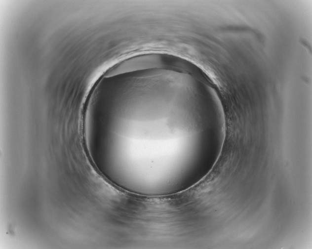 X0000094371527200711021519