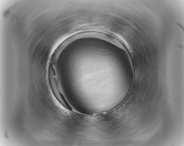 X0000094371528200711021519