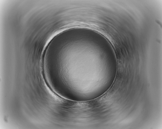 X0000094371531200711021519