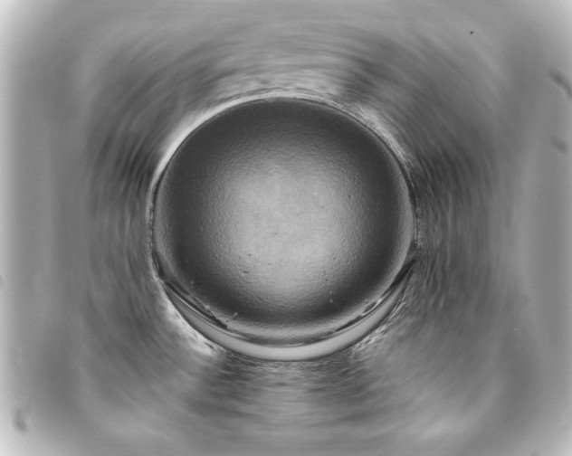 X0000094371532200711021519