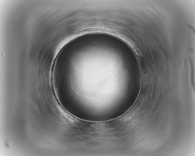 X0000094371535200711021520