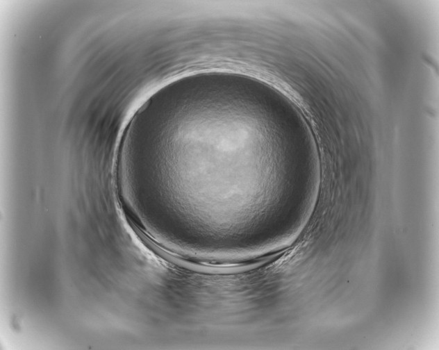 X0000094371536200711021520