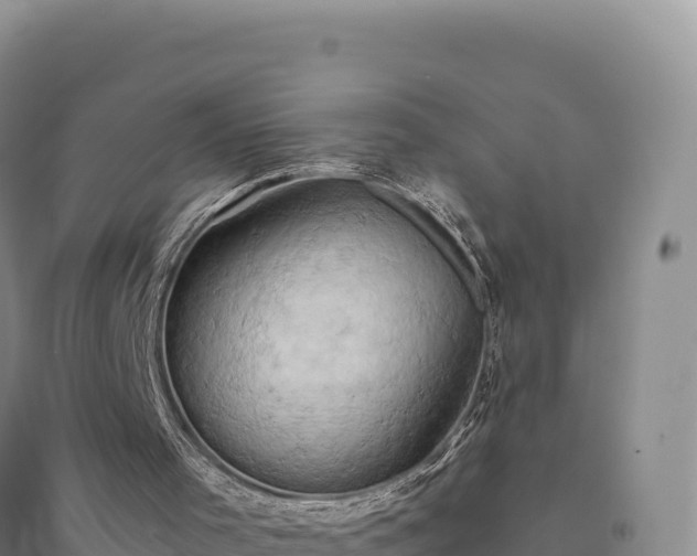 X0000094370001200711091549