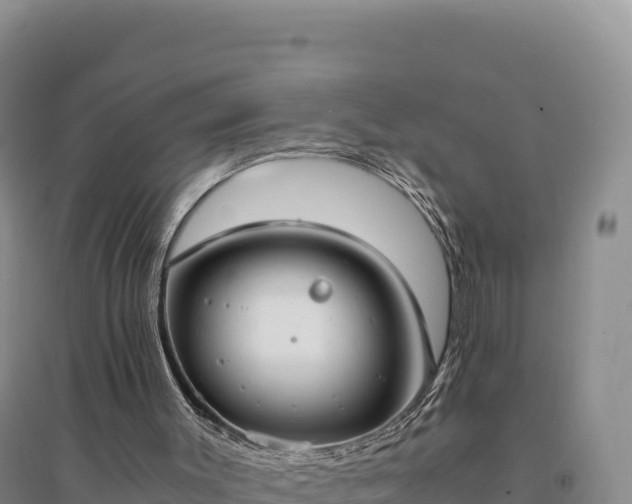 X0000094370003200711091549