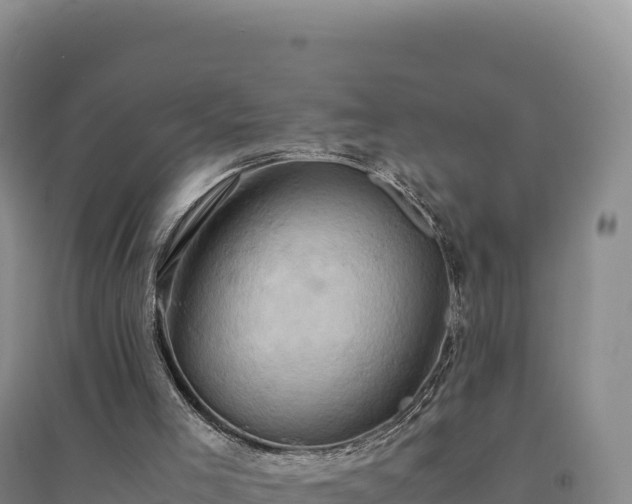 X0000094370005200711091549