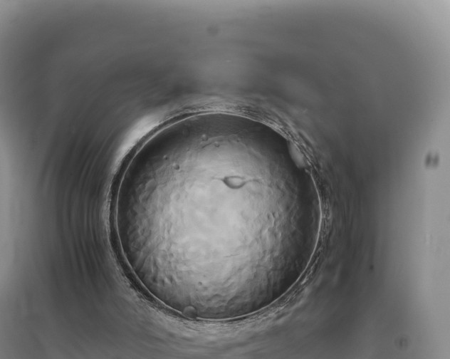 X0000094370006200711091549