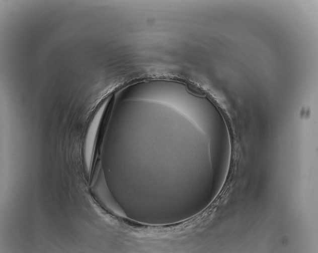 X0000094370009200711091549