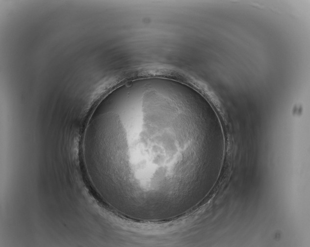 X0000094370010200711091549