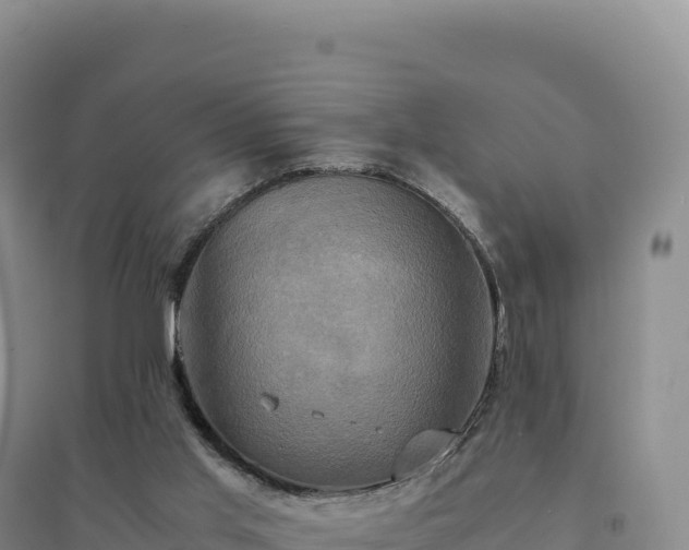 X0000094370013200711091549