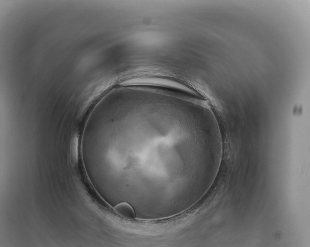 X0000094370014200711091549