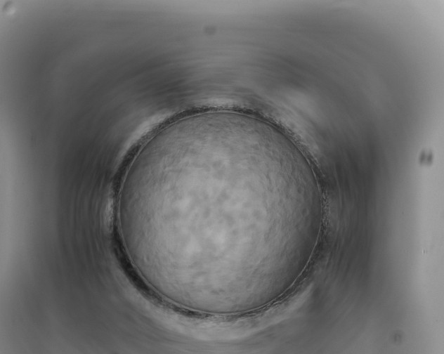 X0000094370016200711091548