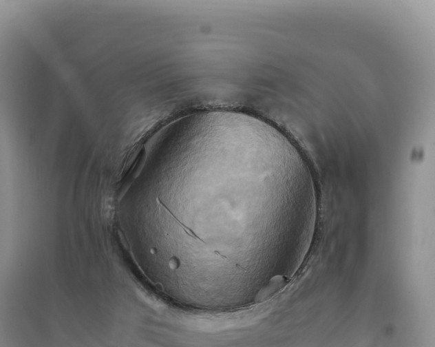 X0000094370017200711091548