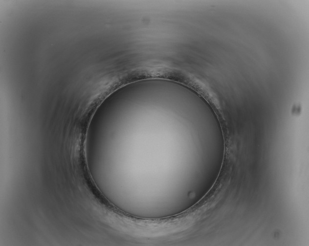 X0000094370018200711091548