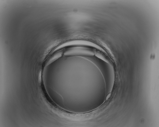 X0000094370019200711091548