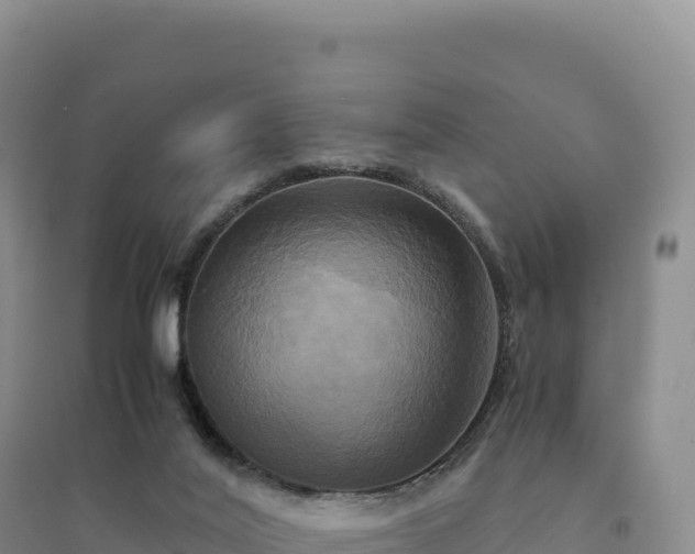 X0000094370020200711091548