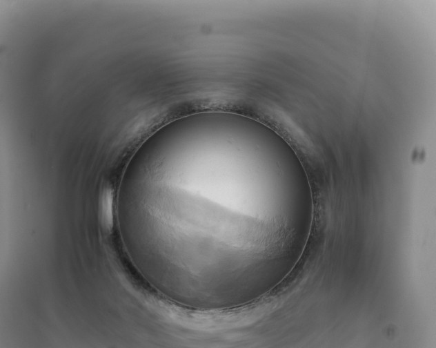 X0000094370022200711091548