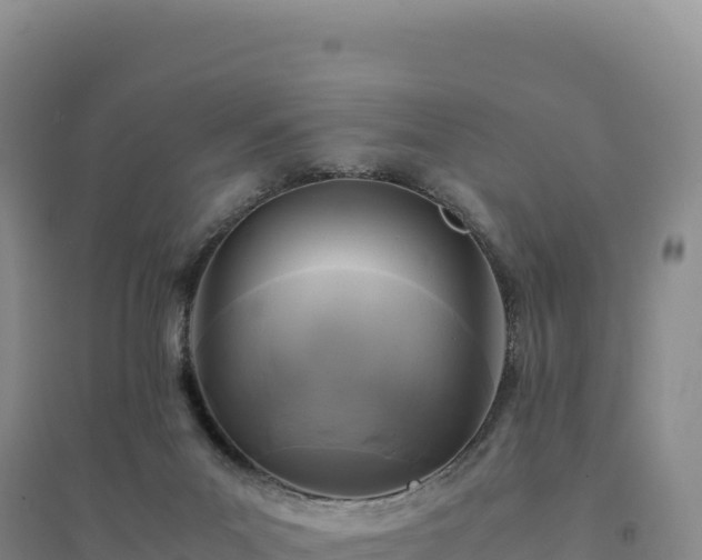 X0000094370023200711091548