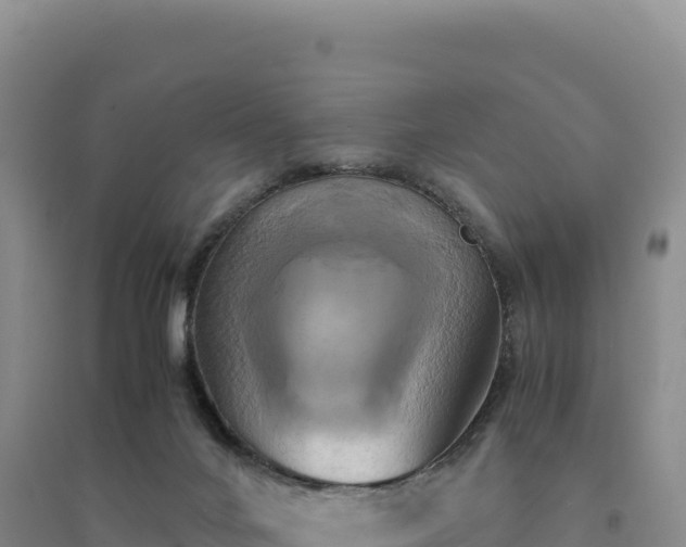 X0000094370024200711091548