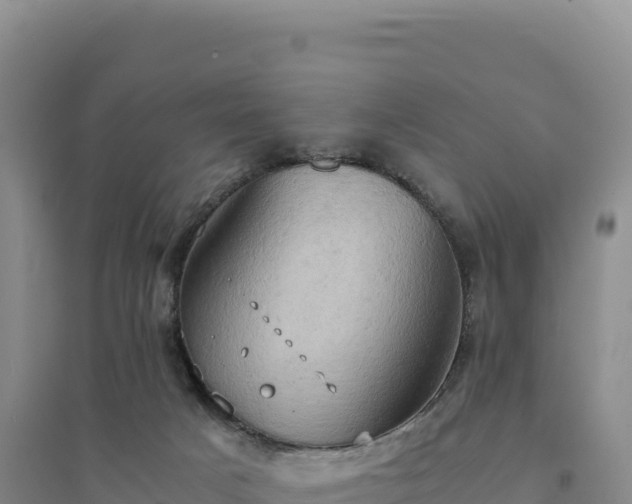X0000094370025200711091548