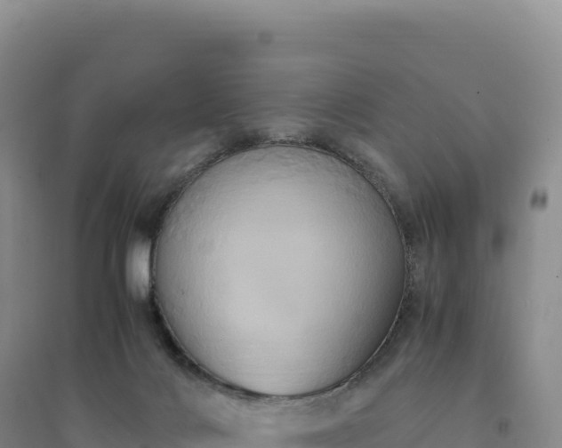 X0000094370028200711091548