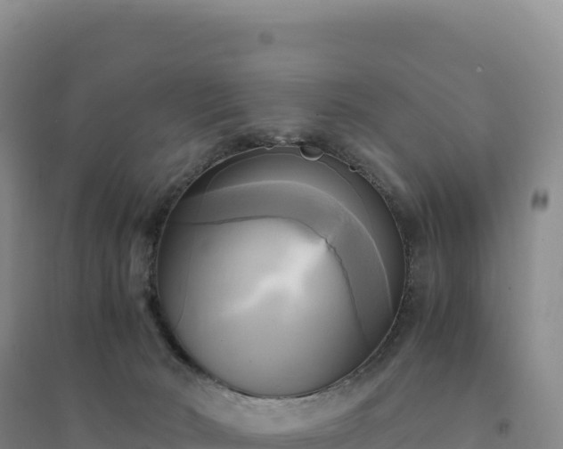 X0000094370030200711091548