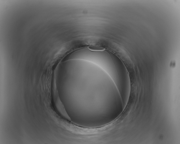 X0000094370031200711091548