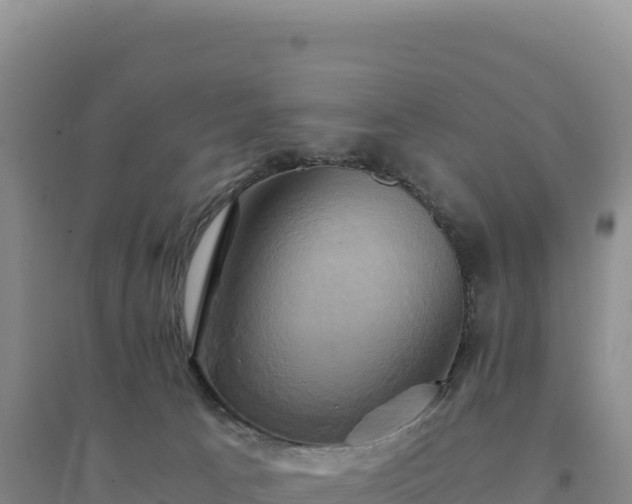 X0000094370033200711091548