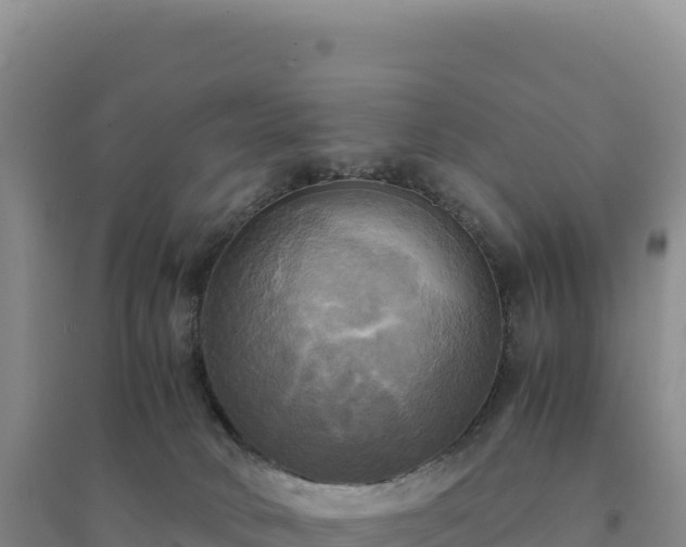 X0000094370034200711091548