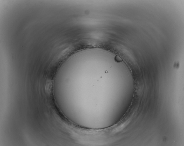 X0000094370036200711091548