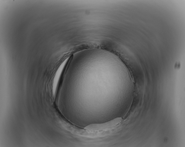 X0000094370037200711091548