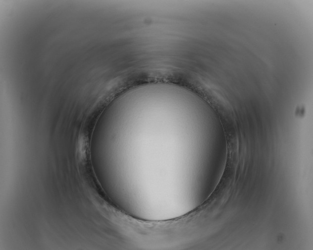 X0000094370038200711091548