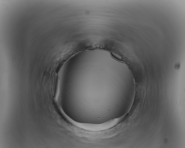 X0000094370039200711091548