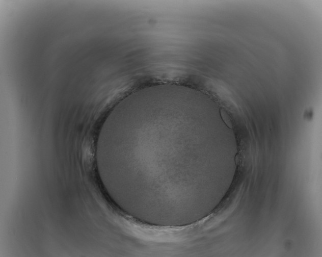 X0000094370040200711091548