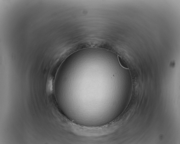 X0000094370042200711091548
