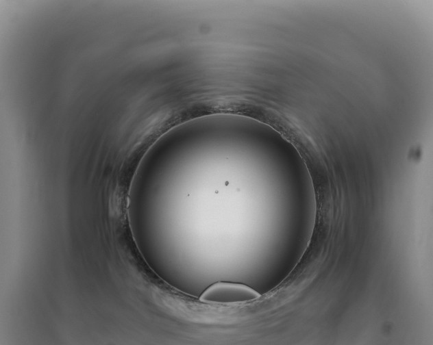 X0000094370044200711091548