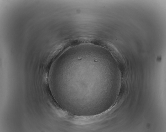 X0000094370045200711091548