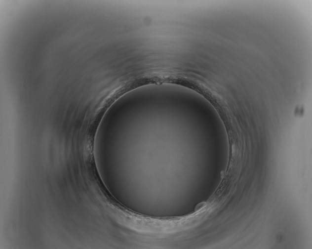 X0000094370048200711091548