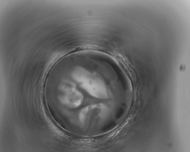 X0000094370049200711091547