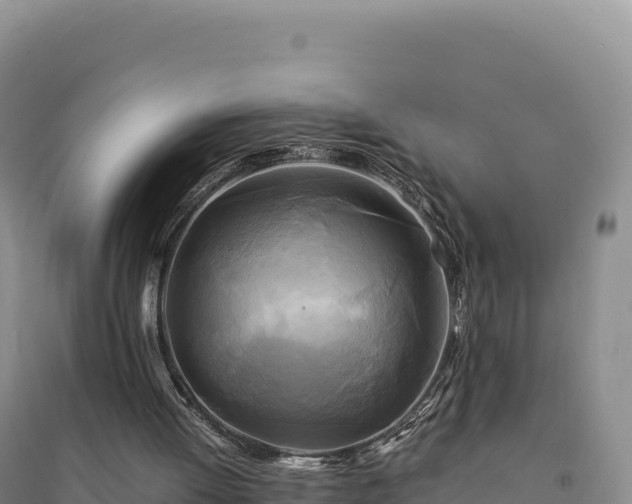 X0000094370052200711091547