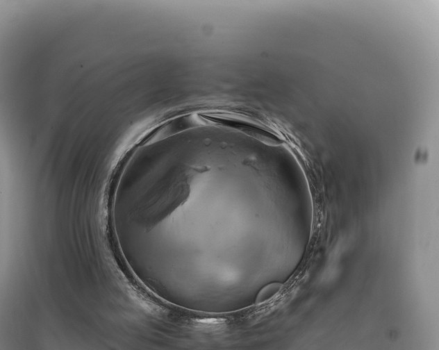 X0000094370053200711091547