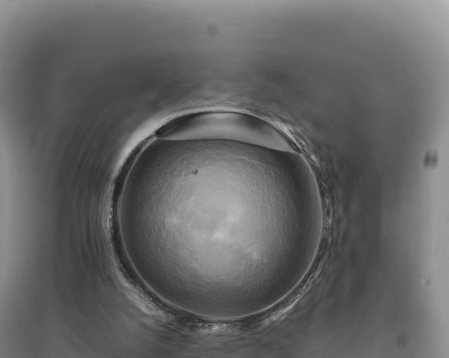 X0000094370056200711091547