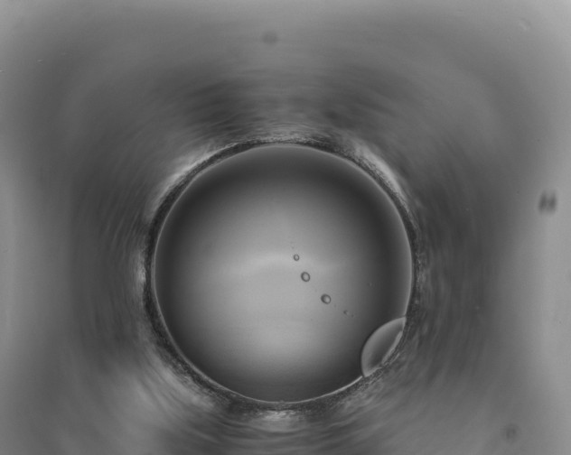 X0000094370059200711091547