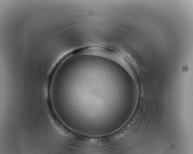 X0000094370060200711091547