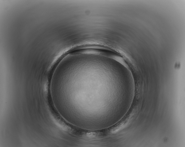X0000094370064200711091547