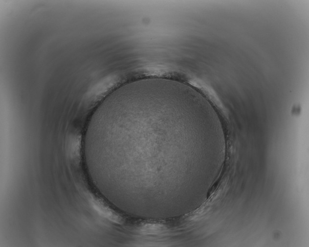 X0000094370066200711091547