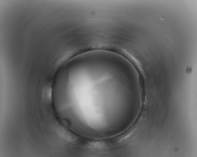 X0000094370067200711091547