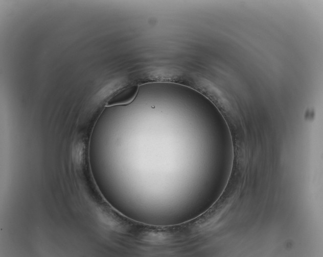 X0000094370071200711091548