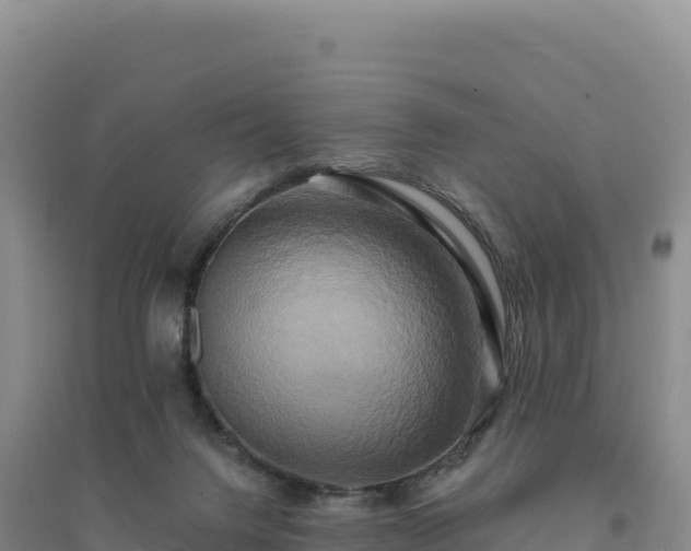 X0000094370072200711091548